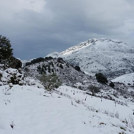 Finca Las Morenas Yunquera エクステリア 写真