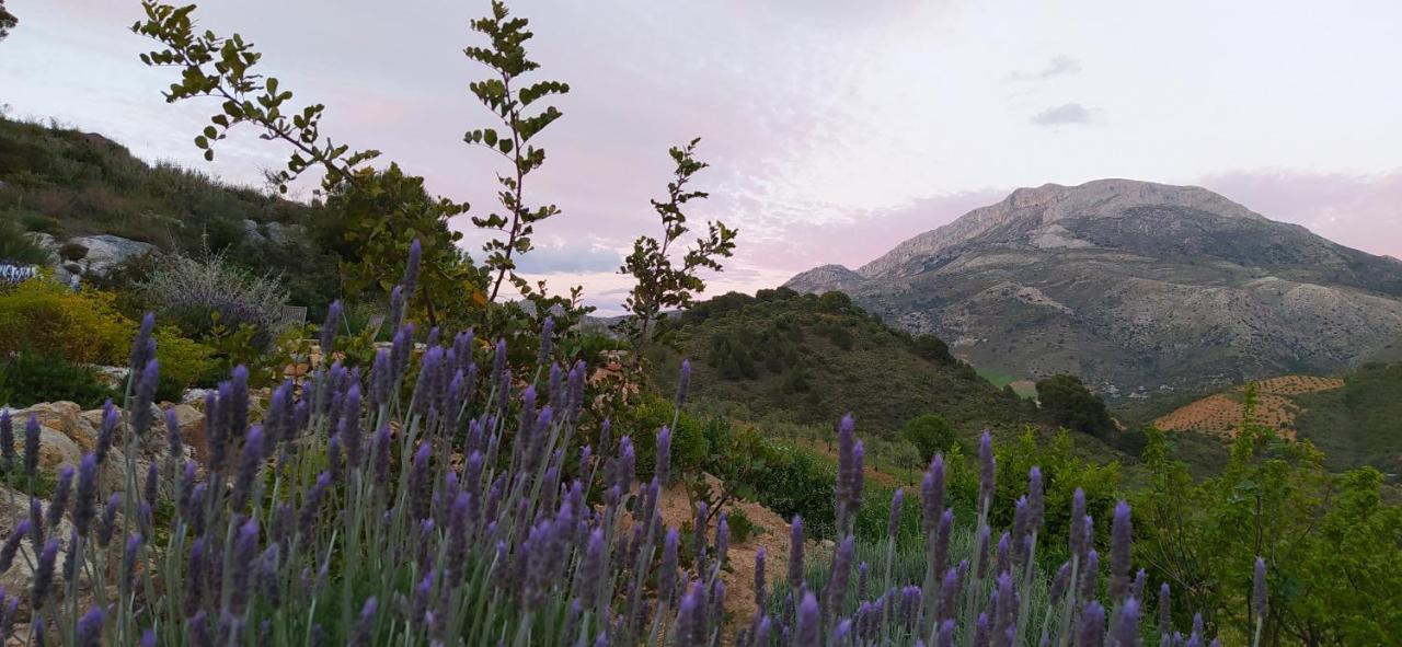 Finca Las Morenas Yunquera エクステリア 写真