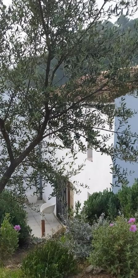 Finca Las Morenas Yunquera エクステリア 写真