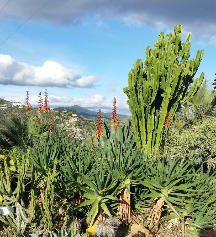 Finca Las Morenas Yunquera エクステリア 写真