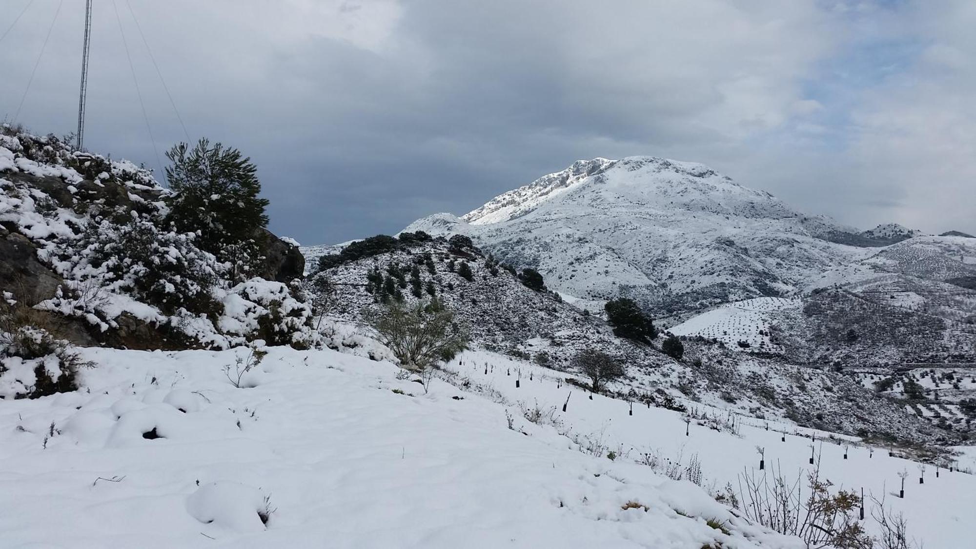 Finca Las Morenas Yunquera エクステリア 写真