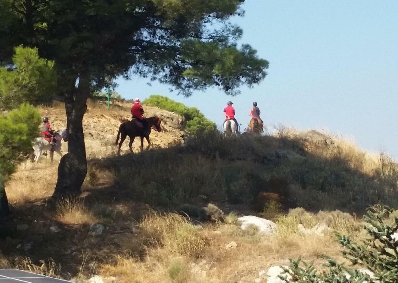 Finca Las Morenas Yunquera エクステリア 写真