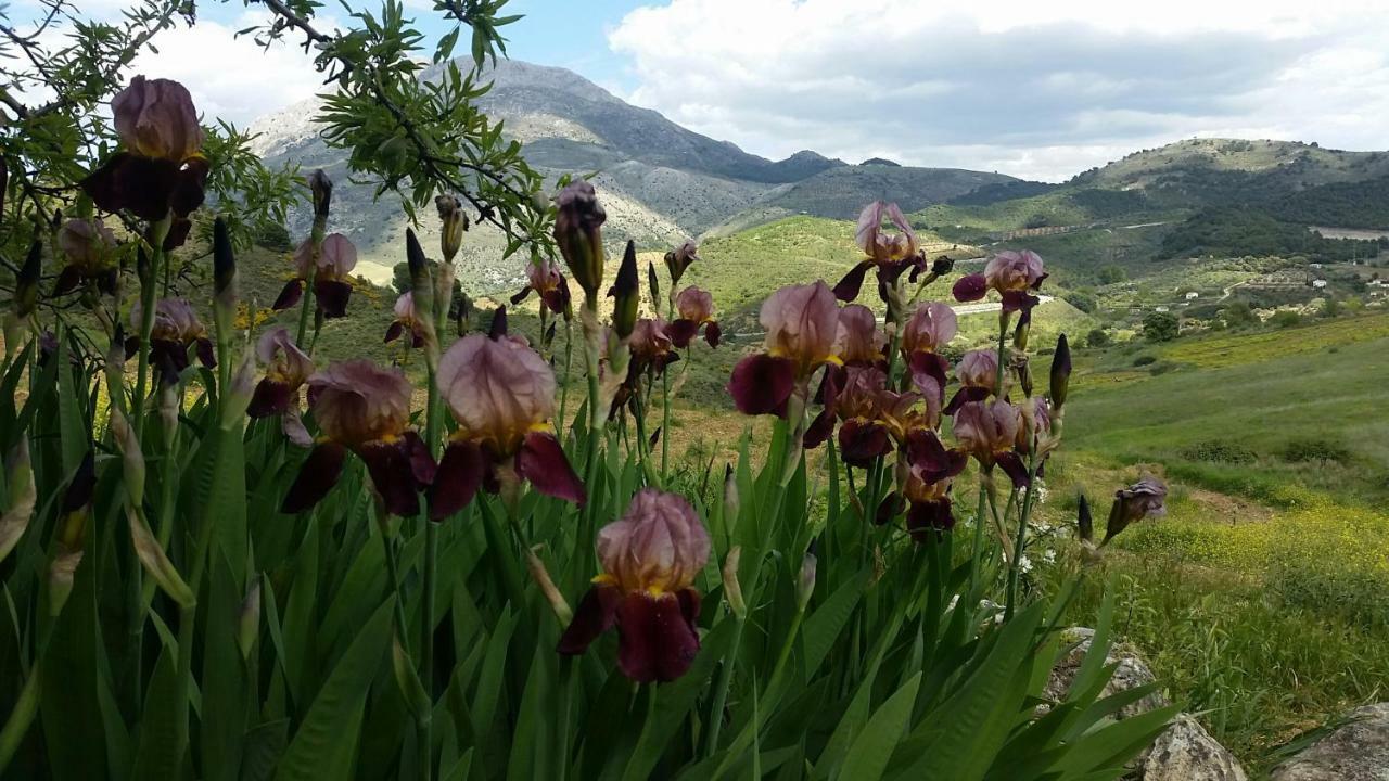 Finca Las Morenas Yunquera エクステリア 写真